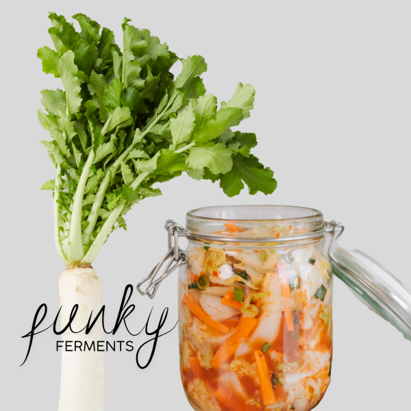 Fermentliebe funky ferments