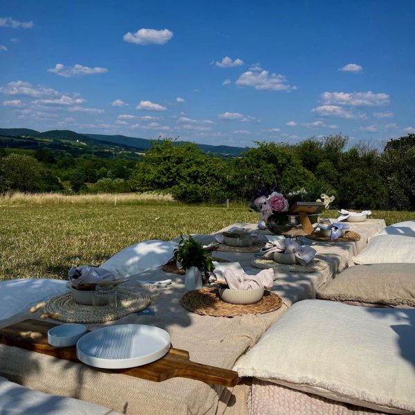 Kräuterpicknick
