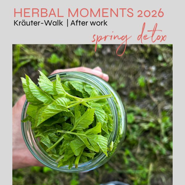 herbal moments spring detox after work