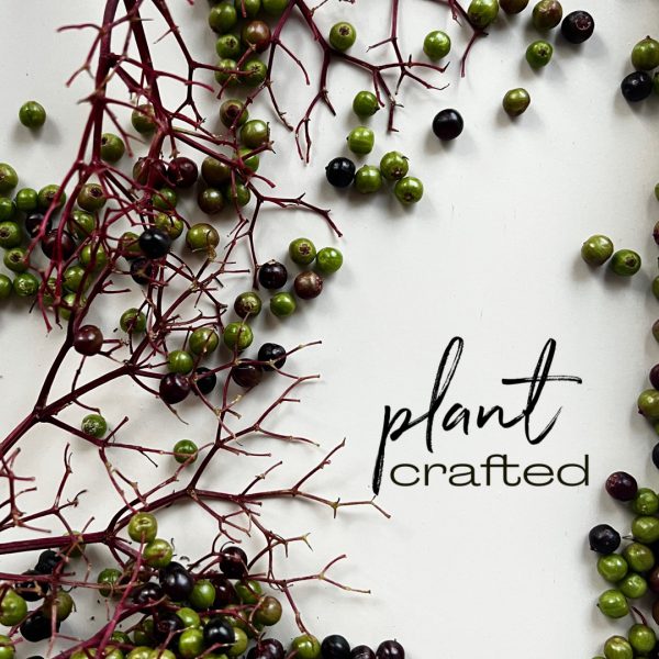 plantcrafted