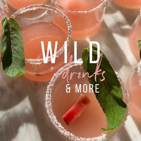 wild drinks & more